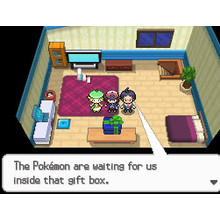 Pokemon: Black Version