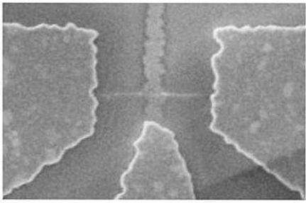 Η ζυγαριά είναι τόσο μικρή ώστε διακρίνεται μόνο στο ηλεκτρονικό μικροσκόπιο. Το δείγμα τοποθετείται πάνω στον κεντρικό νανοσωλήνα. (Πηγή: J.Chaste et al/ICN)  