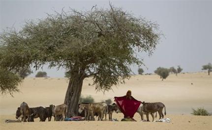 Το Τσαντ υποφέρει από λειψυδρία. Στο υπέδαφος, όμως, κρύβονται μεγάλα αποθέματα νερού (Φωτογραφία: Associated Press)