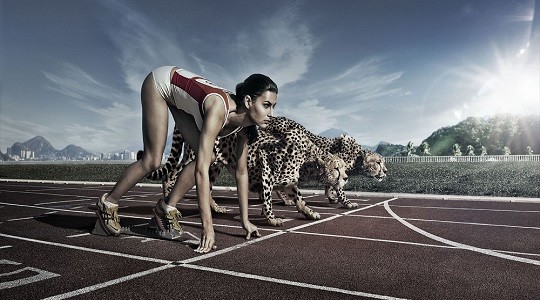 &Omicron;ύ&tau;&epsilon; ά&nu;&theta;&rho;&omega;&pi;&omicron;&sigmaf;, &omicron;ύ&tau;&epsilon; &kappa;&alpha;&nu; &gamma;&alpha;&tau;ό&pi;&alpha;&rho;&delta;&omicron;&sigmaf; &mu;&pi;&omicron;&rho;&epsilon;ί &nu;&alpha; &sigma;&upsilon;&nu;&alpha;&gamma;&omega;&nu;&iota;&sigma;&tau;&epsilon;ί &tau;&omicron; ά&kappa;&alpha;&rho;&iota;