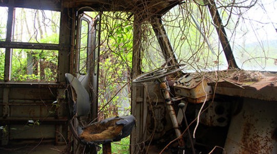 Abandoned, Danielle Hark