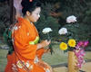 Ikebana