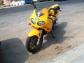 Triumph SPR…